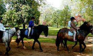 Horse Riding on Rotten Row